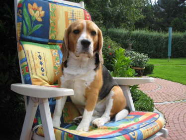 Barclay 1