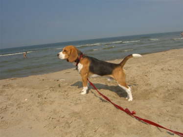 Bild 468